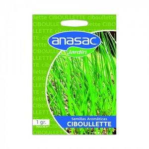 Semilla Ciboulette 1Gr Anasac