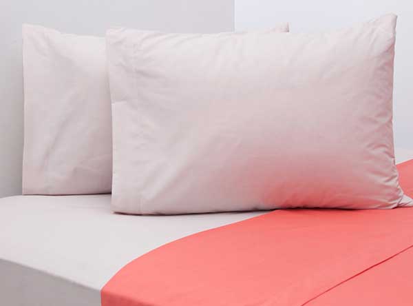 175004526_202202111005390