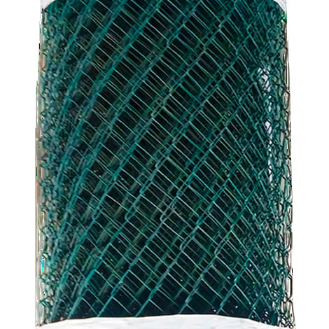 557002007_2