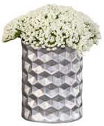 004028202_2023052210054999