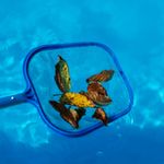 sacahojas-piscina