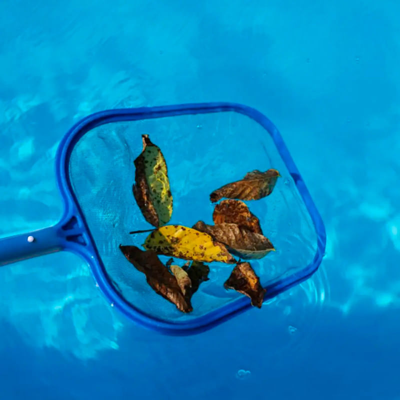 sacahojas-piscina