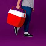 NEVERA 34LT ROJO MOR BRASIL