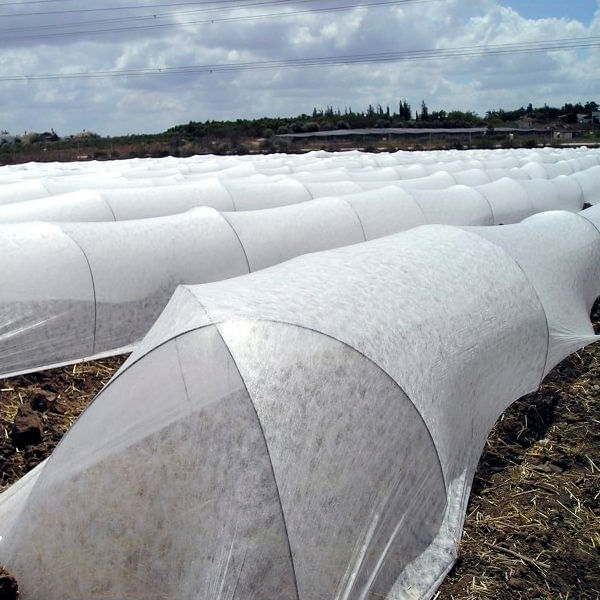 tela-antiheladas-de-105-10-m-color-blanco.jpg