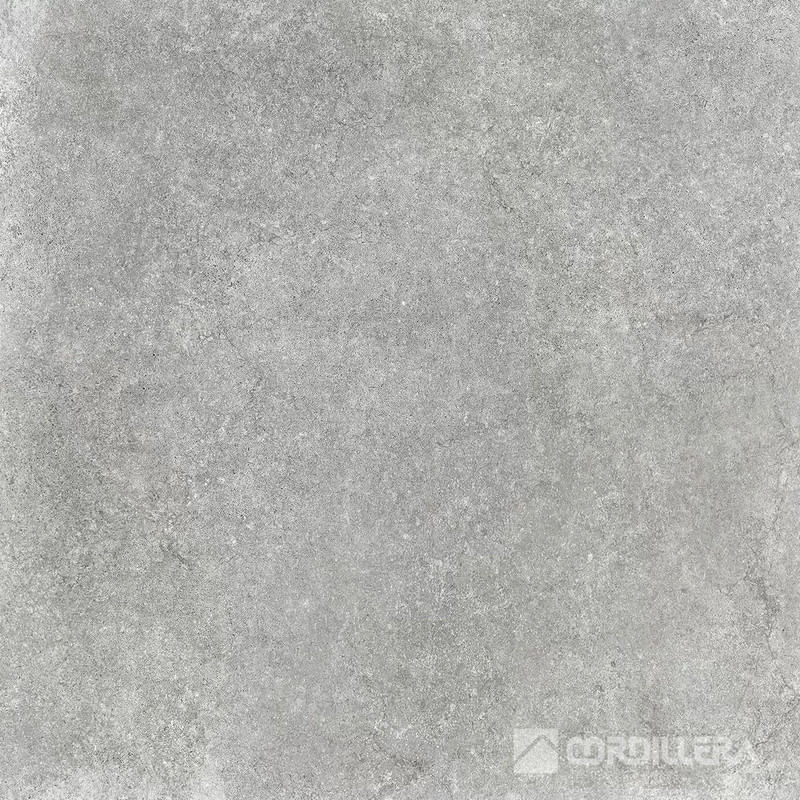 037018653