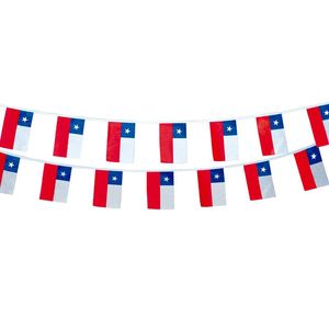 Guirnalda Bandera Chilena Rectangular 20Cm