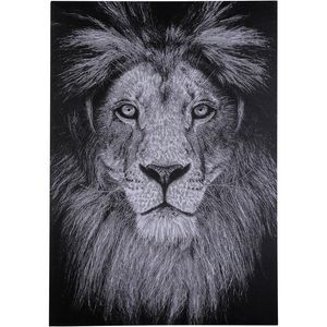 Cuadro 50X70Cm Leon