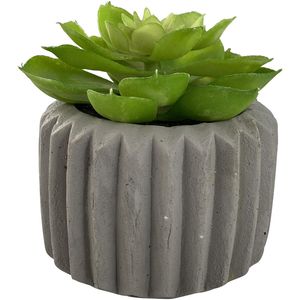 Planta Artificial Suculenta 9.5X11Cm