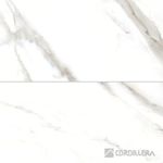 037018657-1