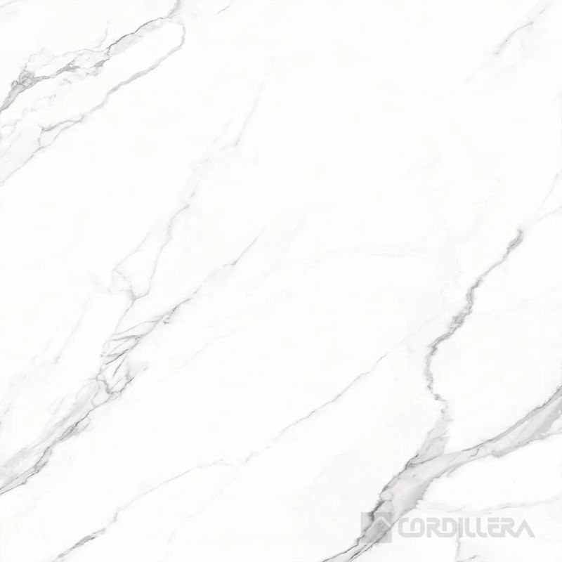 037018661