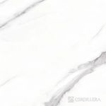 037018661-1