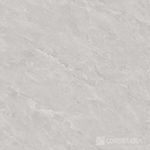037018662