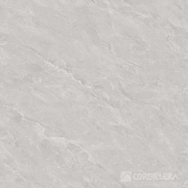 037018662