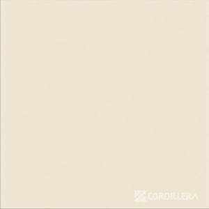 Porcelanato Gres 60X60 Greige 1.44M2 Caja Cordillera