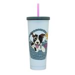 Vaso Tumbler 700Ml Pet Flowers Tapa Verde Con Bombilla Keep-1759150802880