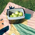 Cooler Nevera 12 Litros Negro Mor -1759418837526