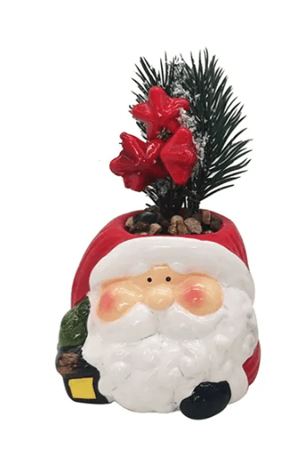 Pocillo Navidad 7X13.5X7.8Cm-1762550785035