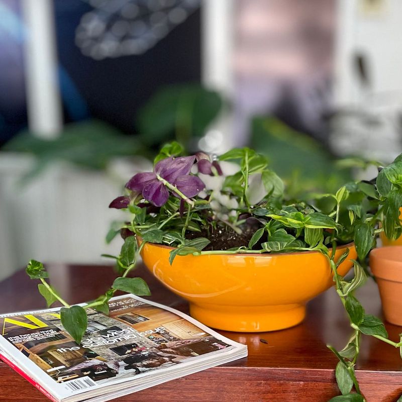 Macetero 32Cm Bowl Mostaza Dijon Mestiza-1763560214676