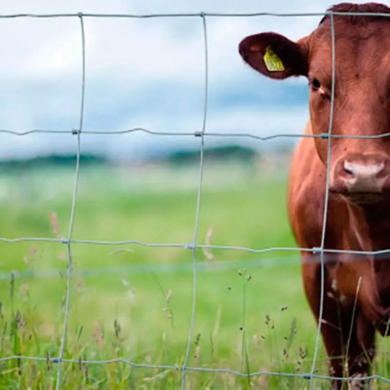 Malla Ursus 11 Hebras (Rollo 100Mt)(140Cm) Cerram-1770120414244