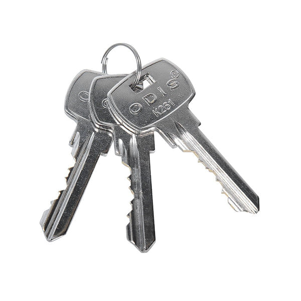 Cerradura Embutir Acceso Ac.Inox M.205 Odis-1770903527679