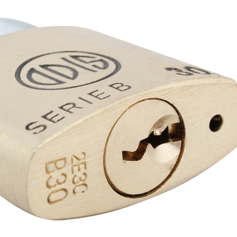 Candado 30Mm Odis-1770912386209