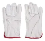 Guantes De Cabritilla Talla 10 Pack 10 Unidades-1790694818550
