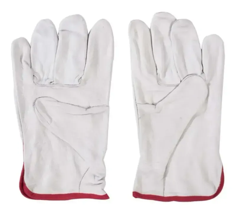 Guantes De Cabritilla Talla 10 Pack 10 Unidades-1790694818550