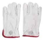 Guantes De Cabritilla Talla 10 Pack 10 Unidades-1790694819336
