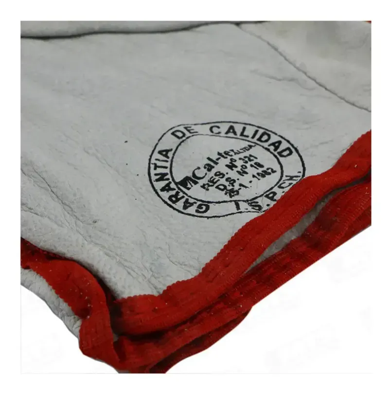 Guantes De Cabritilla Talla 10 Pack 10 Unidades-1790694824394